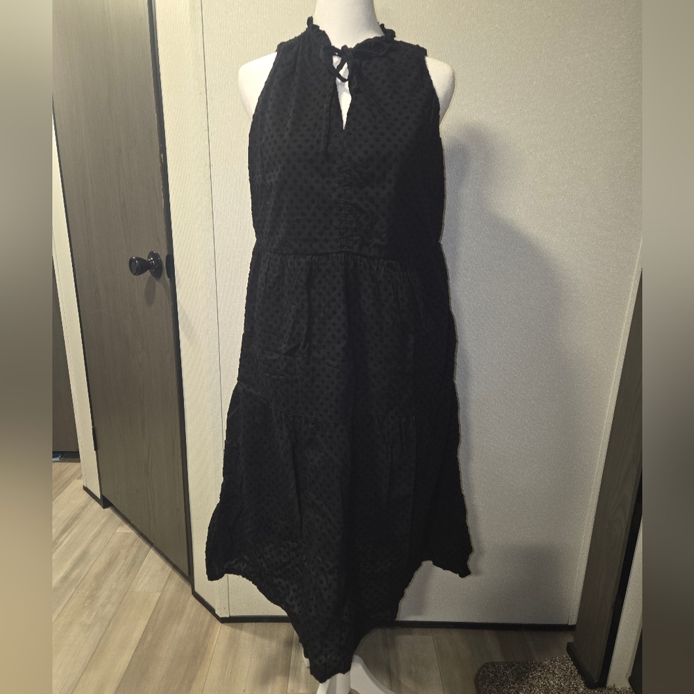 Loft Black Textured Dress